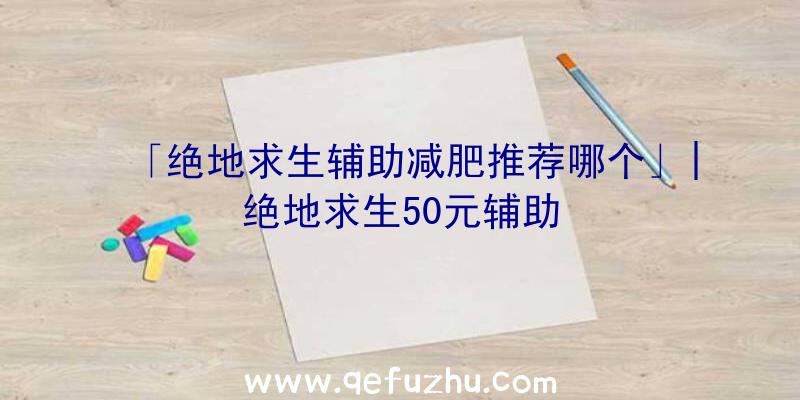 「绝地求生辅助减肥推荐哪个」|绝地求生50元辅助